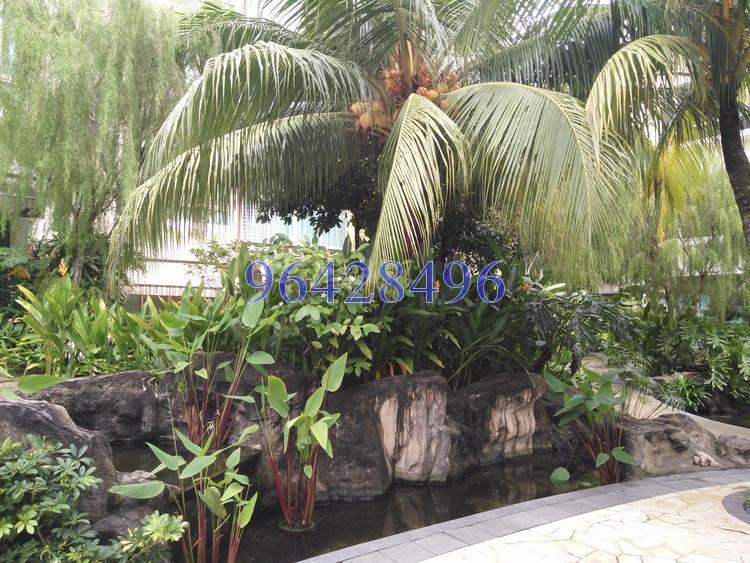 Fontaine Parry (D19), Condominium #141943412